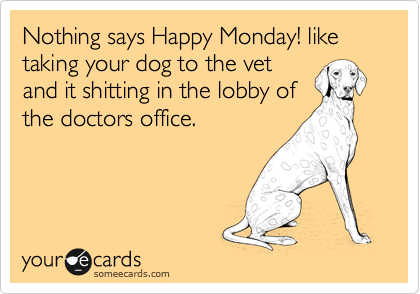 Nothing says Happy Monday! like taking your dog to the vet
and it shitting in the lobby of
the doctors office. 