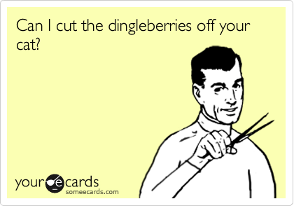 Can I cut the dingleberries off your cat?