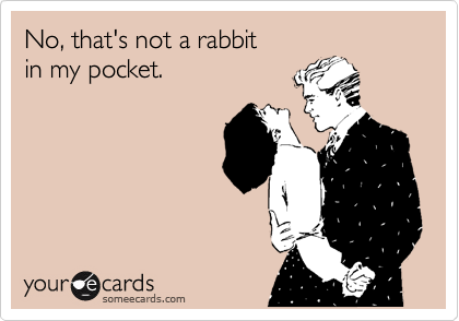 No, that's not a rabbit
in my pocket.