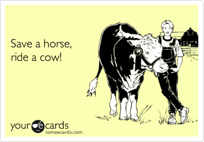 

Save a horse, 
ride a cow!