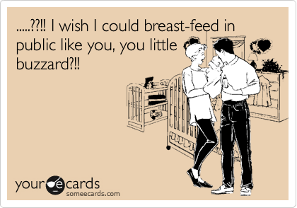 .....??!! I wish I could breast-feed in public like you, you little
buzzard?!!