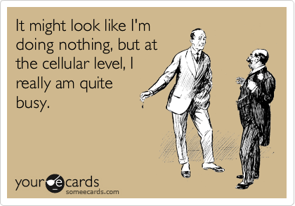 It might look like I'm
doing nothing, but at
the cellular level, I
really am quite
busy.