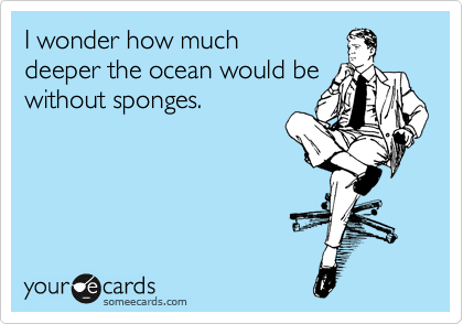 I wonder how much
deeper the ocean would be without sponges.