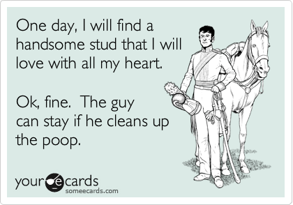One day, I will find a
handsome stud that I will
love with all my heart.

Ok, fine.  The guy
can stay if he cleans up
the poop.