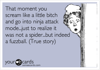 That moment you
scream like a little bitch
and go into ninja attack
mode...just to realize it
was not a spider...but indeed
a fuzzball. %28True story%29
