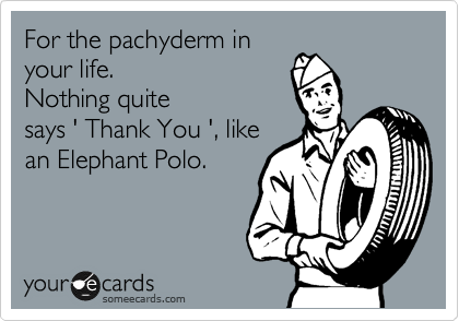 For the pachyderm in
your life.
Nothing quite
says ' Thank You ', like
an Elephant Polo.