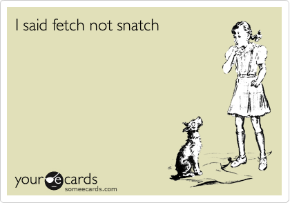 I said fetch not snatch