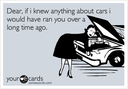 Dear, if i knew anything about cars i would have ran you over a
long time ago.