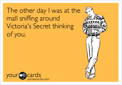The other day I was at the
mall sniffing around
Victoria's Secret thinking
of you.