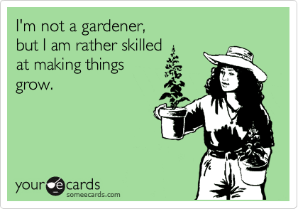 I'm not a gardener,
but I am rather skilled
at making things
grow.