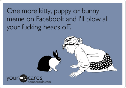 One more kitty, puppy or bunny meme on Facebook and I'll blow all your fucking heads off.
