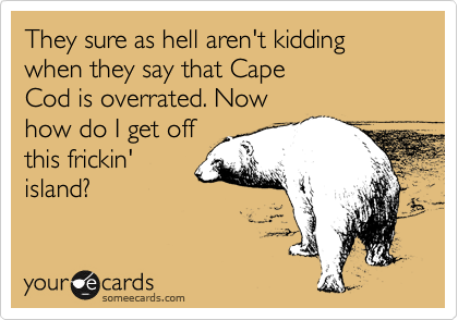 They sure as hell aren't kidding when they say that Cape
Cod is overrated. Now
how do I get off
this frickin'
island?