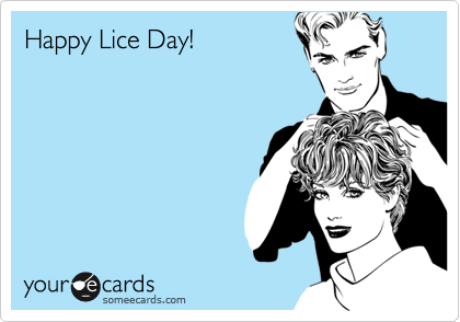 Happy Lice Day!  
