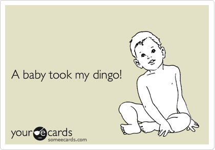 



A baby took my dingo!