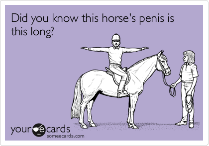 Did you know this horse's penis is this long?