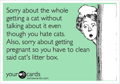 Sorry about the whole 
getting a cat without 
talking about it even 
though you hate cats.
Also, sorry about getting
pregnant so you have to clean
said cat's litter box.