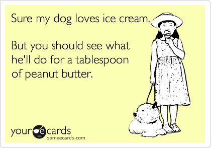 Sure my dog loves ice cream.

But you should see what
he'll do for a tablespoon 
of peanut butter.