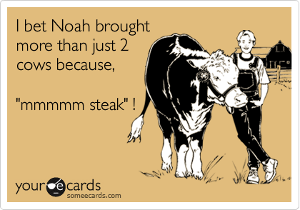I bet Noah brought
more than just 2
cows because, 

"mmmmm steak" !