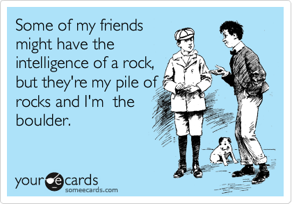 Some of my friends
might have the
intelligence of a rock,
but they're my pile of
rocks and I'm  the
boulder.