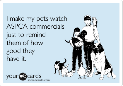 
I make my pets watch
ASPCA commercials
just to remind 
them of how
good they
have it. 