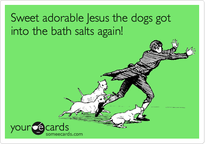 Sweet adorable Jesus the dogs got into the bath salts again!