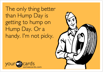 The only thing better
than Hump Day is
getting to hump on
Hump Day. Or a
handy. I'm not picky.