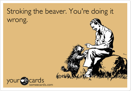Stroking the beaver. You're doing it wrong.