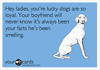 Hey ladies, you're lucky dogs are so loyal. Your boyfriend will
never know it's always been
your farts he's been
smelling.