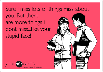 Sure I miss lots of things miss about you. But there
are more things i
dont miss...like your
stupid face!