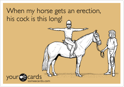 When my horse gets an erection, his cock is this long!