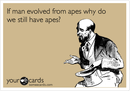 If man evolved from apes why do we still have apes?
