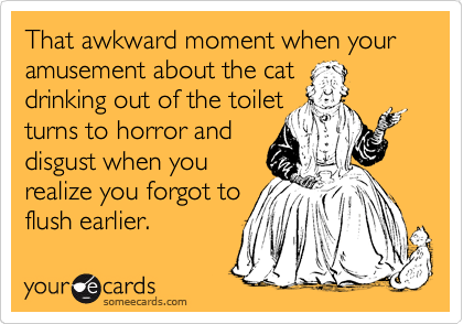 That awkward moment when your amusement about the cat
drinking out of the toilet
turns to horror and
disgust when you
realize you forgot to
flush earlier. 