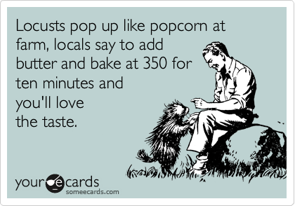 Locusts pop up like popcorn at farm, locals say to add
butter and bake at 350 for 
ten minutes and
you'll love
the taste.