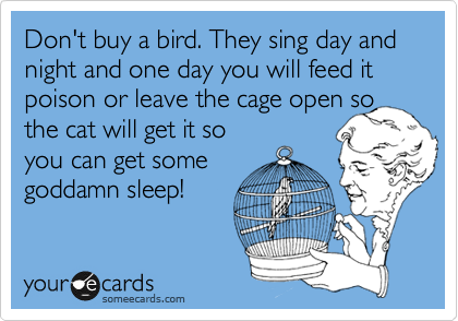 Don't buy a bird. They sing day and night and one day you will feed it
poison or leave the cage open so the cat will get it so
you can get some
goddamn sleep!
