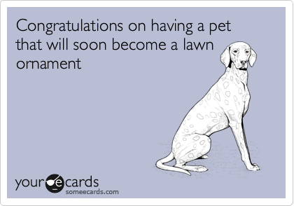 Congratulations on having a pet that will soon become a lawn
ornament