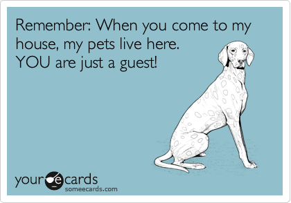 Remember: When you come to my house, my pets live here. 
YOU are just a guest!