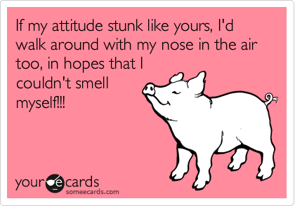If my attitude stunk like yours, I'd walk around with my nose in the air too, in hopes that I
couldn't smell
myself!!! 