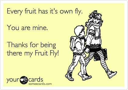 Every fruit has it's own fly.

You are mine.

Thanks for being
there my Fruit Fly!
