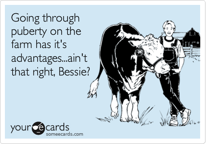 Going through
puberty on the
farm has it's
advantages...ain't
that right, Bessie?
