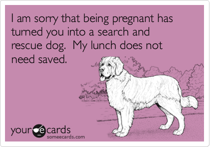 I am sorry that being pregnant has turned you into a search and rescue dog.  My lunch does not need saved.