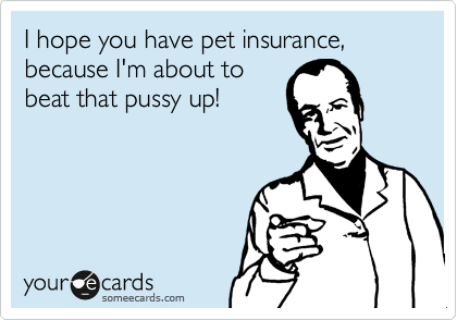 I hope you have pet insurance,
because I'm about to
beat that pussy up!