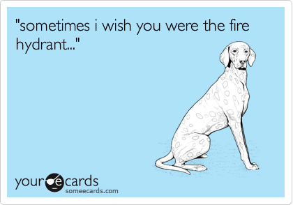 "sometimes i wish you were the fire hydrant..."