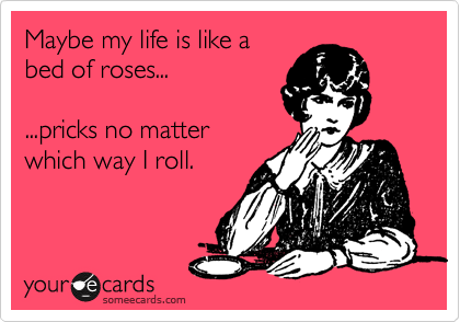 Maybe my life is like a
bed of roses...

...pricks no matter
which way I roll.