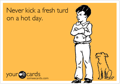Never kick a fresh turd
on a hot day.