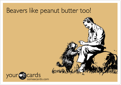 Beavers like peanut butter too!