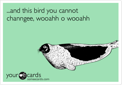 ...and this bird you cannot channgee, wooahh o wooahh