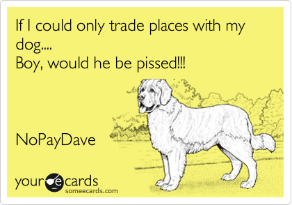 If I could only trade places with my dog.... 
Boy, would he be pissed!!!   



NoPayDave