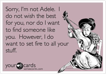 Sorry, I'm not Adele.  I
do not wish the best
for you, nor do I want
to find someone like
you.  However, I do
want to set fire to all your
stuff.