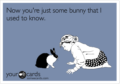 Now you're just some bunny that I used to know.