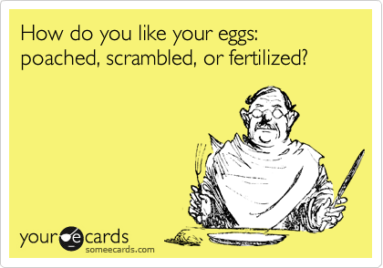 How do you like your eggs: poached, scrambled, or fertilized?